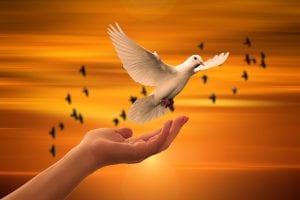 Peace